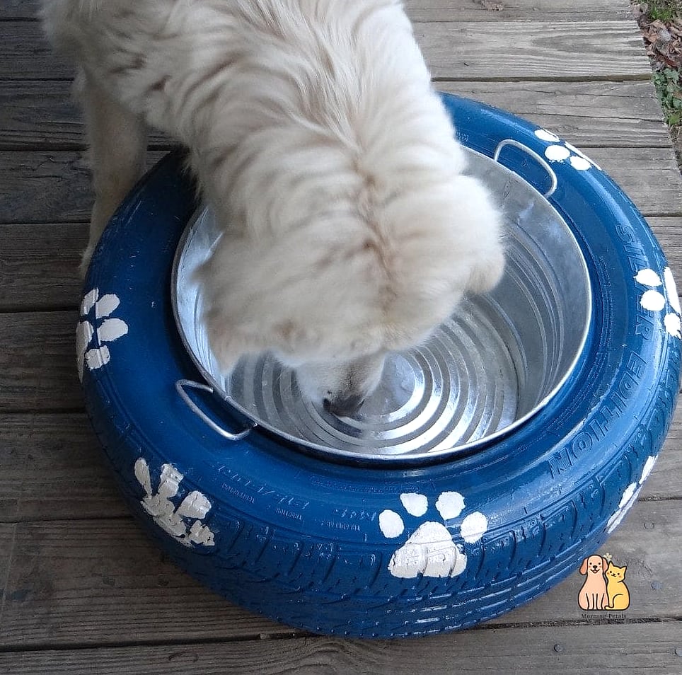 15 Gorgeous Dog Remedies That Prove Pets Are the Best 1 featured 1030