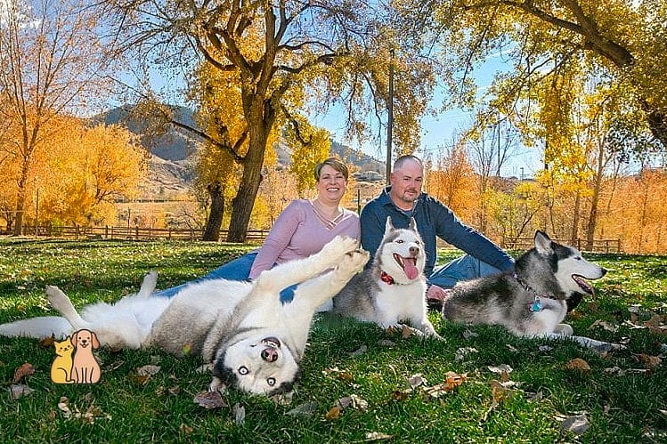 The Husky Dog Breed: Everything You Need to Know 1 featured 1186