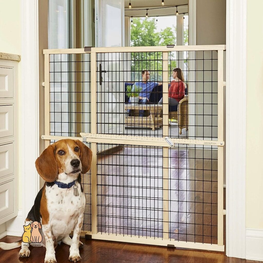 25 Amazing Dog Pee Pads That Will Restore Your Faith in the World 1 featured 2806