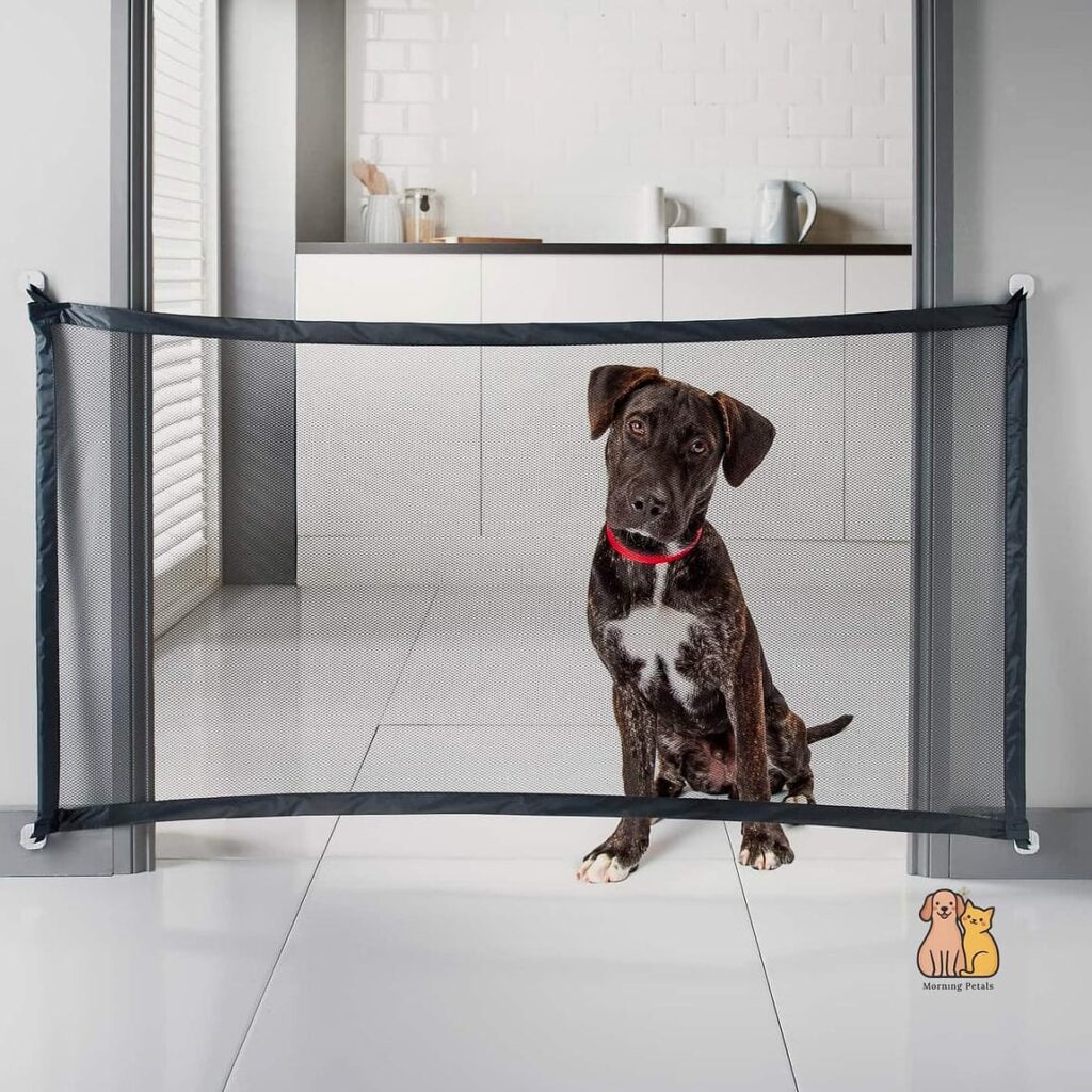 21 Adorable Retractable Dog Leashes That Will Make Your Day 1 featured 2812