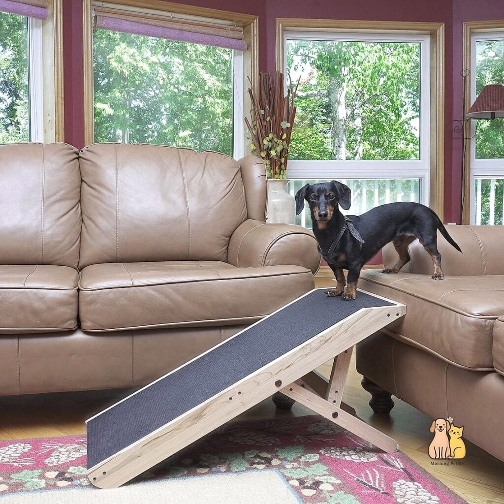 20 Clever Dog Corner Ideas That Are Totally Worth It 1 featured 3714
