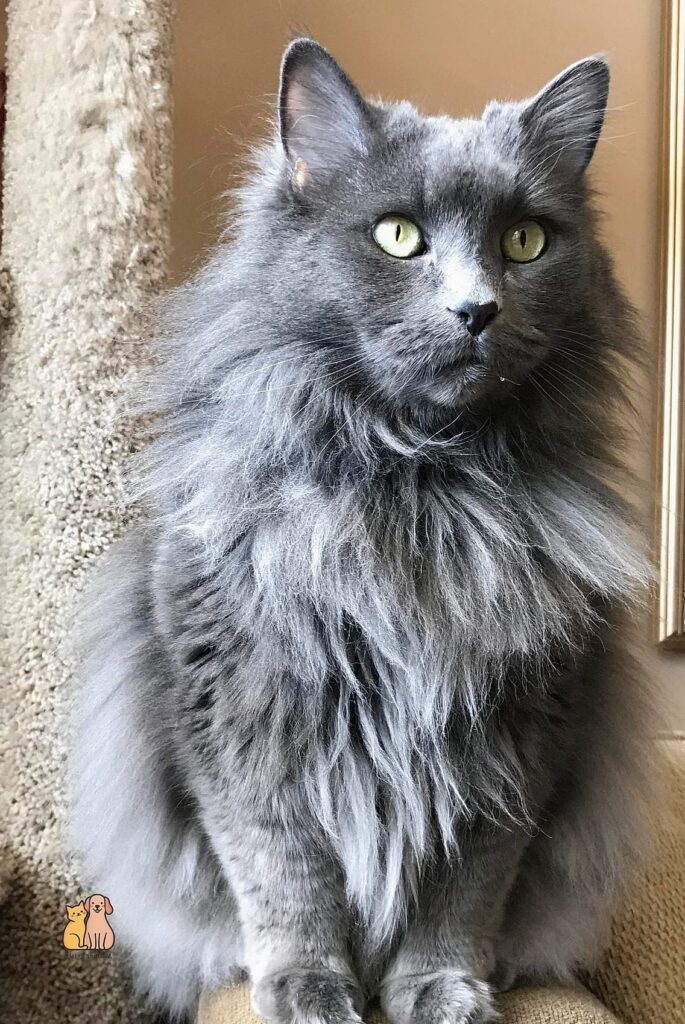 featured 4063