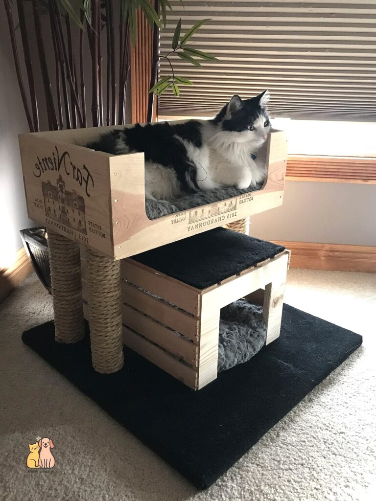 30 Creative Diy Cat Scratchers That Will Inspire You 1 featured 5724