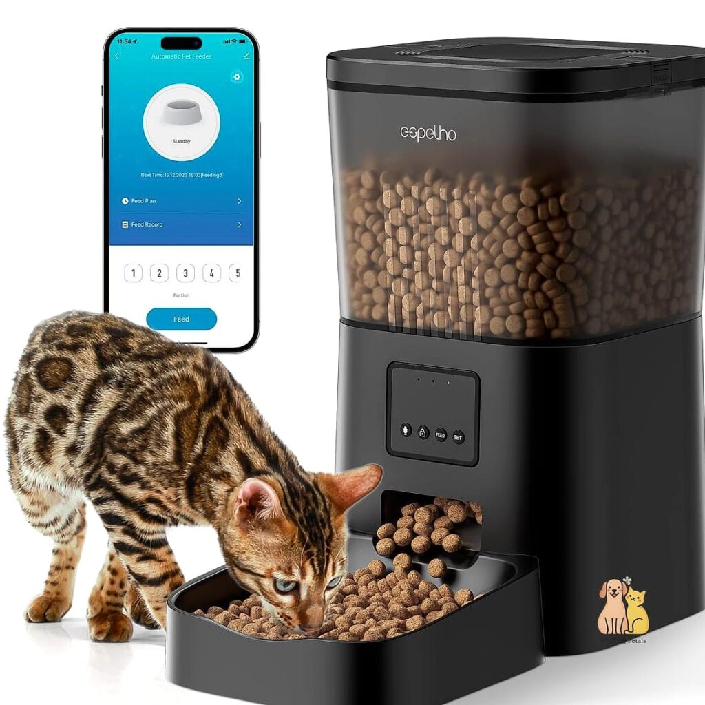 20 Clever Outdoor Cat House Ideas on a Budget 1 featured 6590