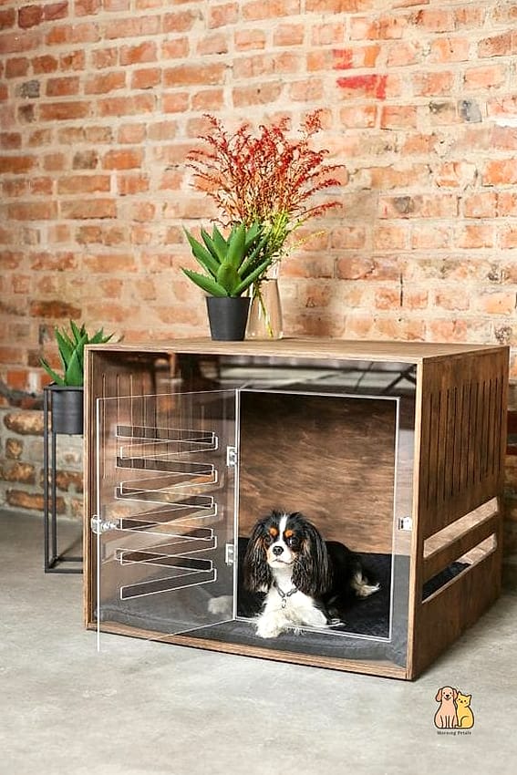 23 Precious Best Dog Crates That Prove Pets Are the Best 23 The Acrylic and Wood Modern Crate