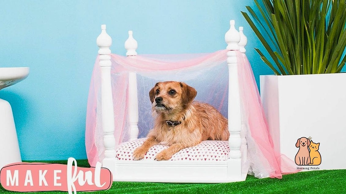 Add a Canopy for a Princess-Style Look
