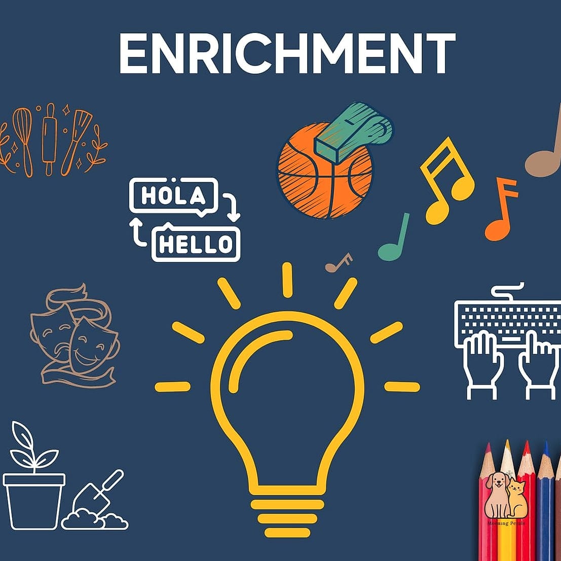 Adding Enrichment for Happier Pets