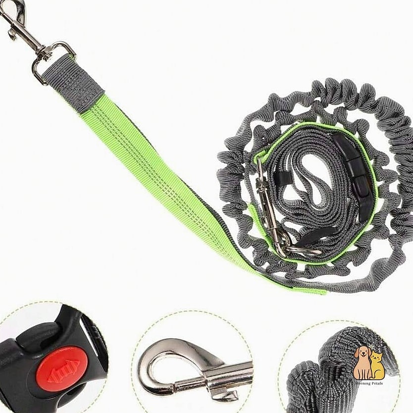 The Adjustable Multi-Function Leash