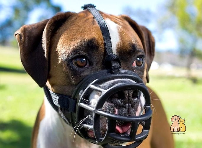The Adjustable Puppy Muzzle