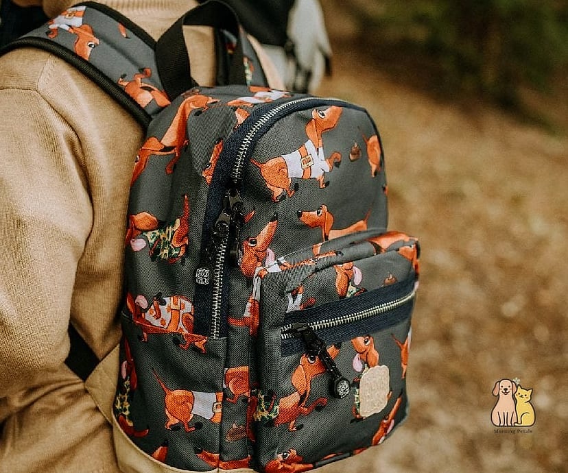 40 Adorable Wiener Dogs That Will Make Your Day 23 The Adventure Backpack Buddy