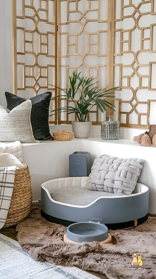 The All-in-One Wellness Corner