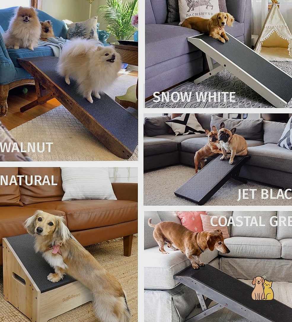 22 Cute Dog Ramps For Boats That Prove Pets Are the Best 23 The All-Terrain Ramp for Rocky Shorelines