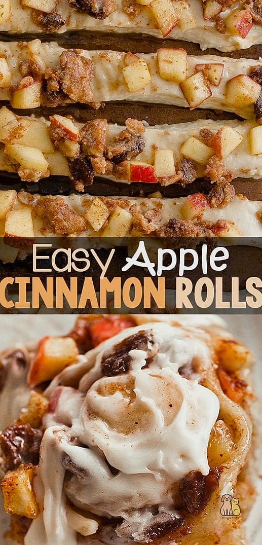19 Budget-friendly Easy Homemade Dog Treats Your Pet Will Love 7 Apple Cinnamon Dog Biscuits