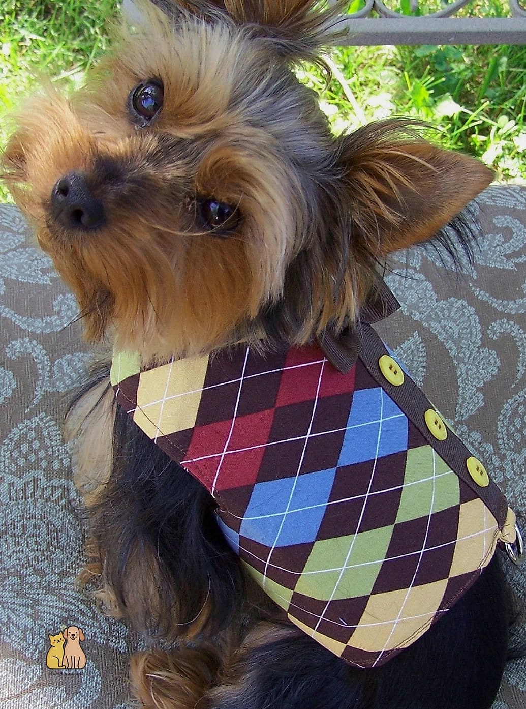 15 Gorgeous Small Dog Sweaters That Will Restore Your Faith in the World 6 The Argyle Vest Sweater