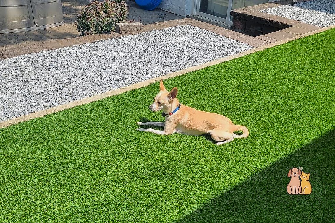 23 Precious Dog Yard Landscaping That Will Restore Your Faith in the World 6 Artificial Turf for Low-Maintenance Living