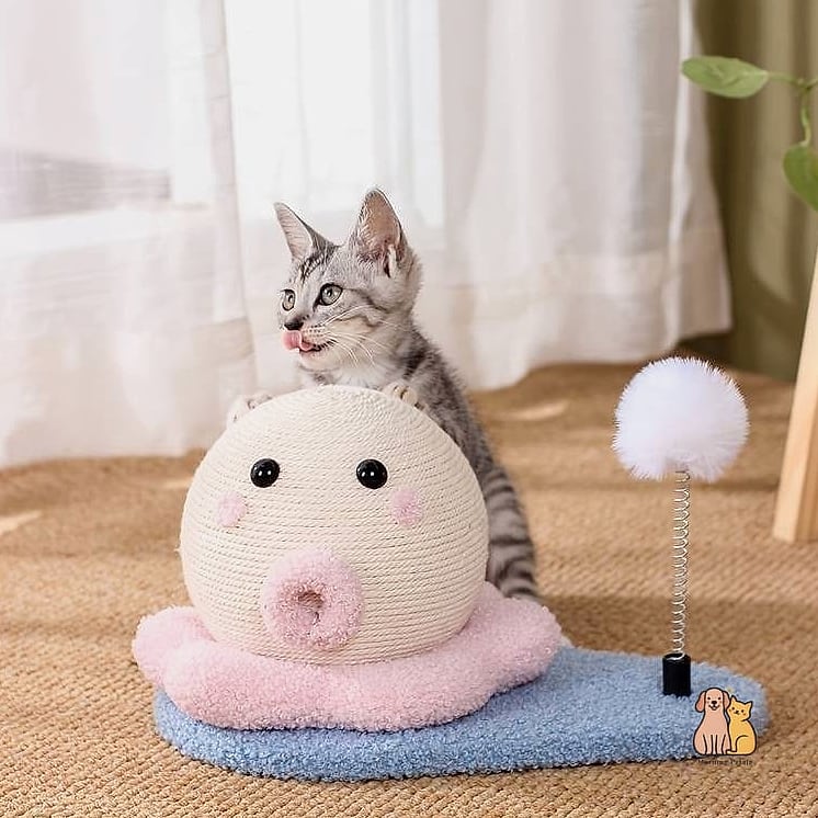 The Avocado Scratch Toy