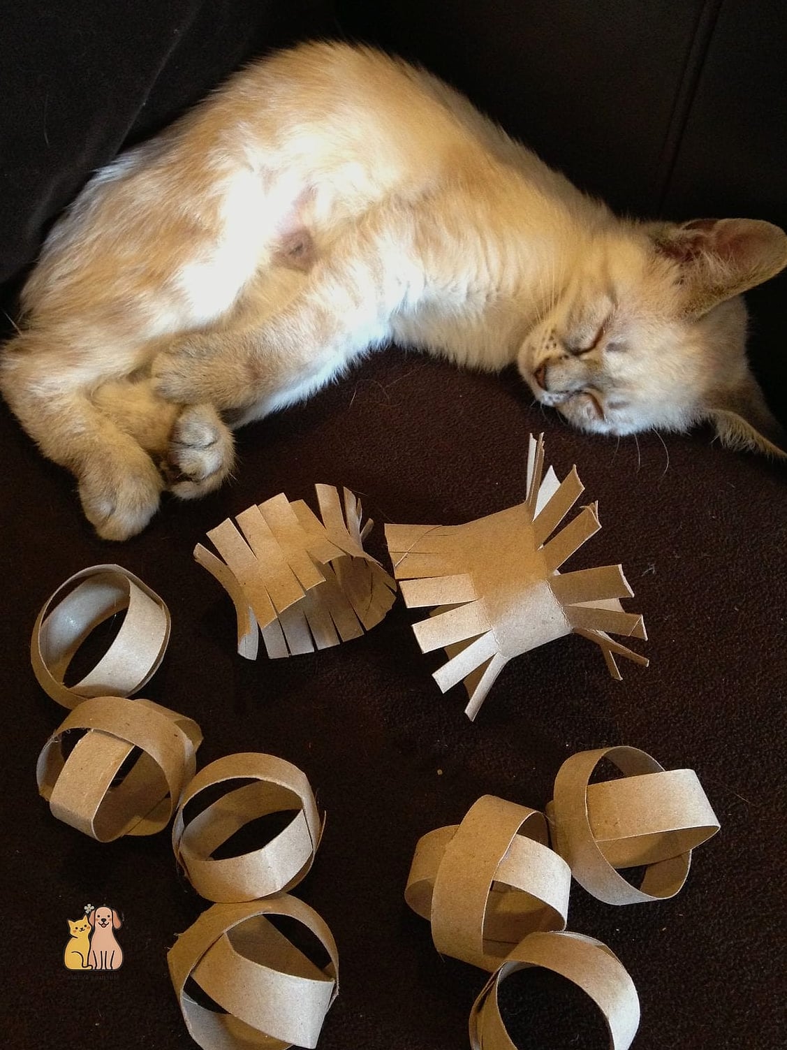 45 Easy Diy Cat Toys to Try Right Now 44 Balled-Up Newspaper Toy