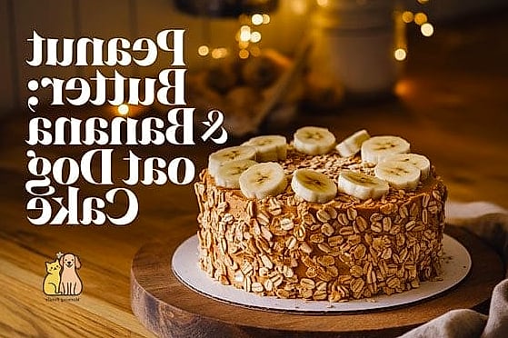20 Easy Dog Cake Recipes Your Pup Will Go Crazy For 6 Banana Oat Dog Cake