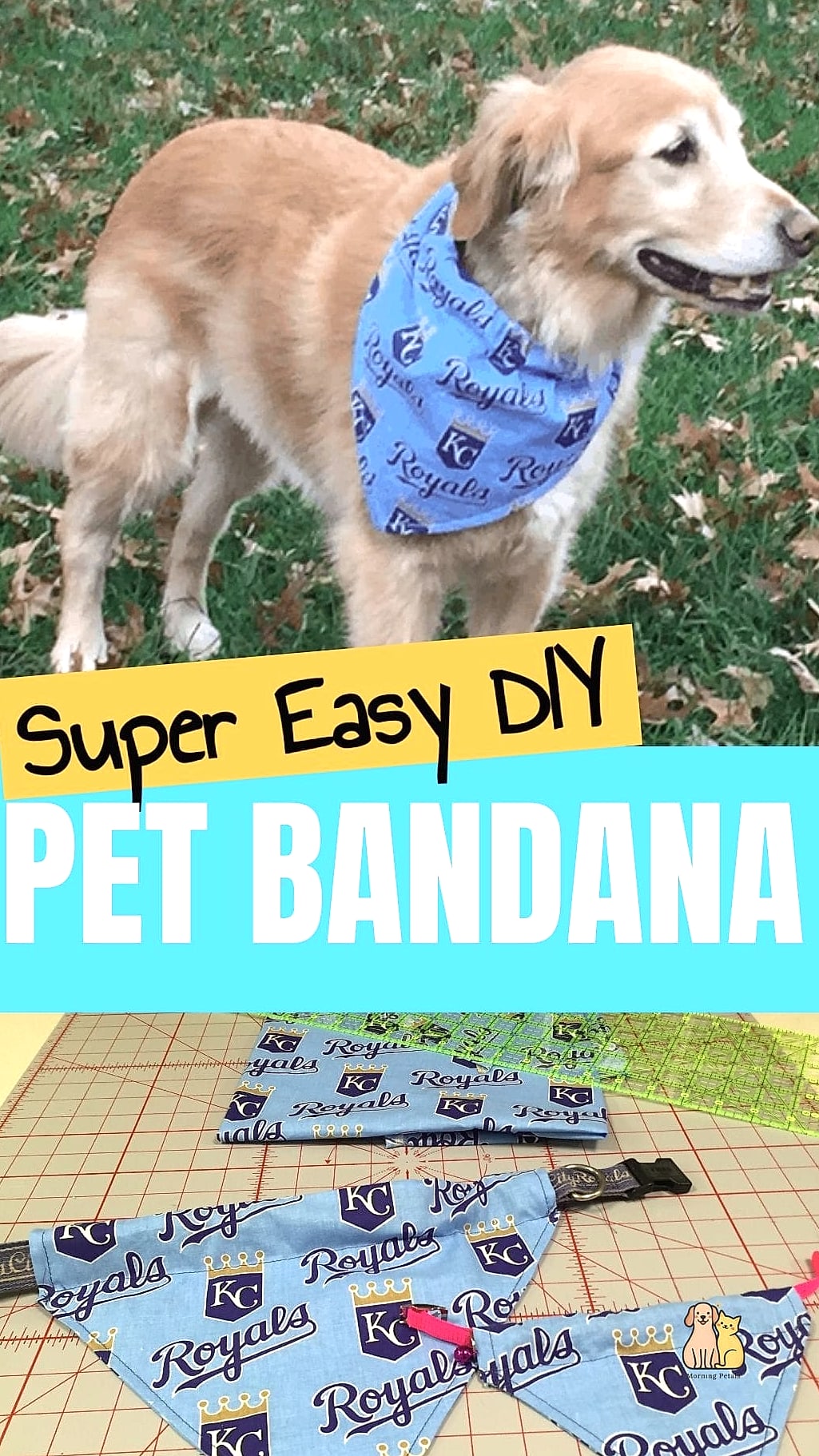 Bandana and ID Tag Set