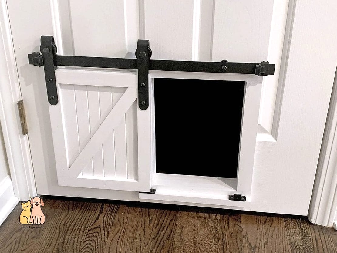 Barn-Style Mini Door