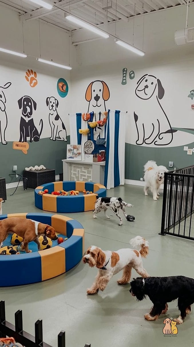 The Basement Playroom