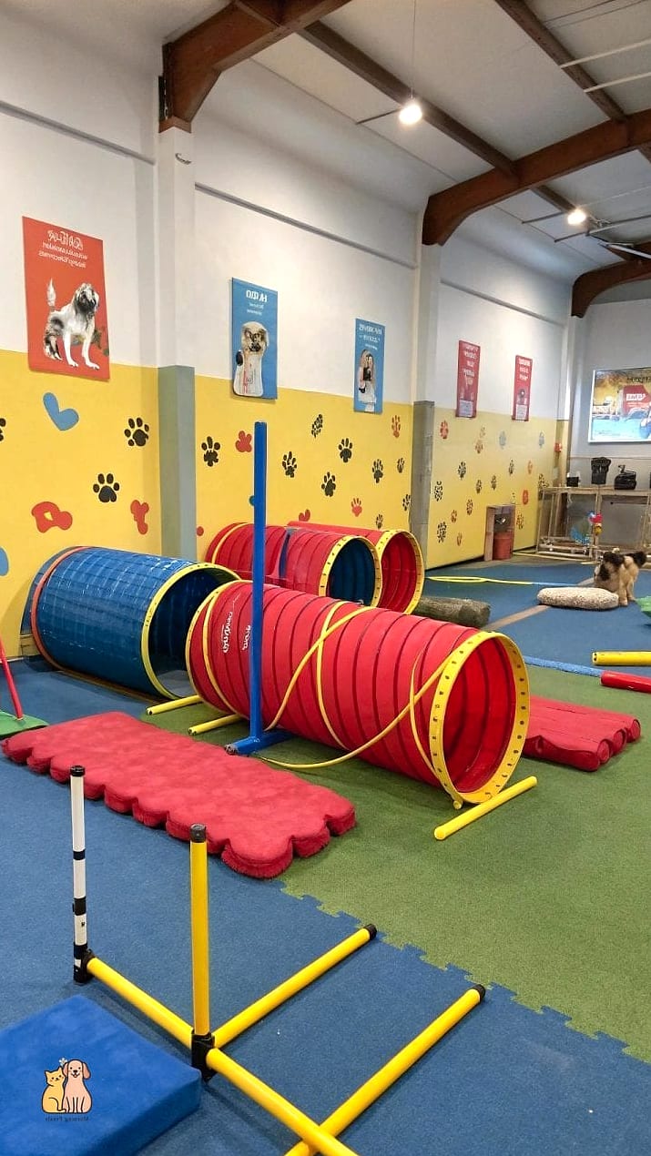 30 Incredible Dog Places In House You Need in Your Life Right Now 16 The Basement Playroom Corner
