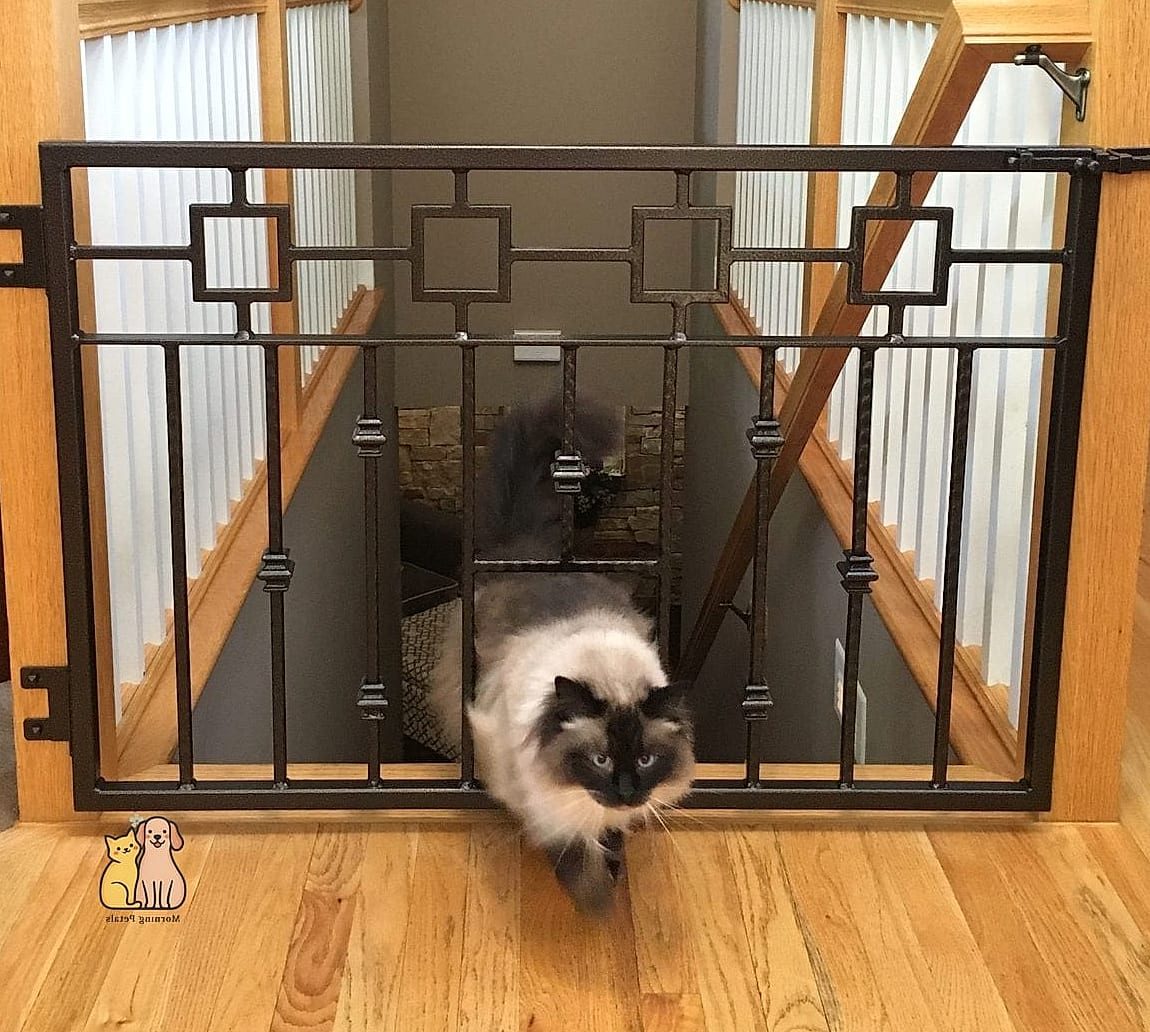 Basement Stairwell Door