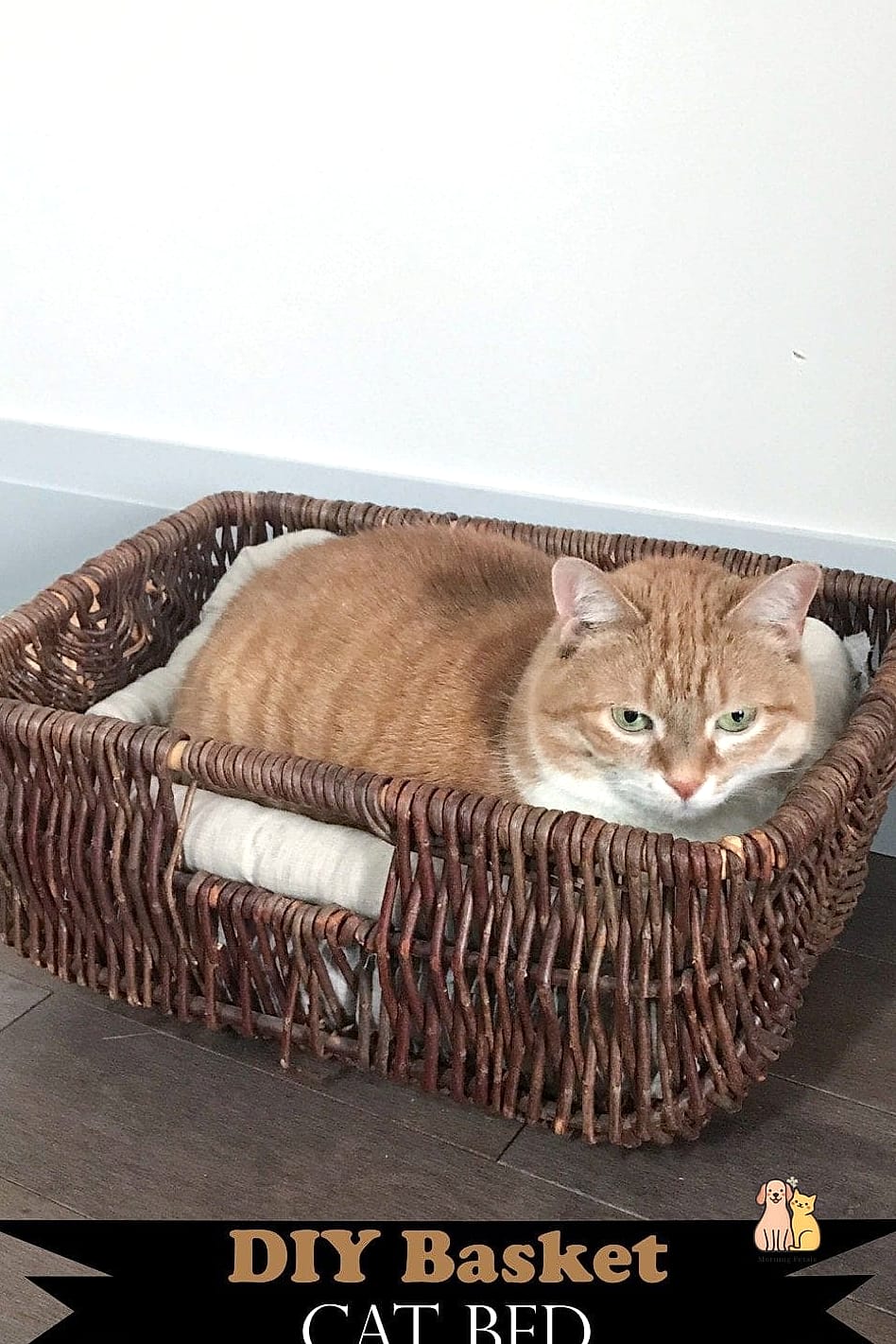 The Basket Bed