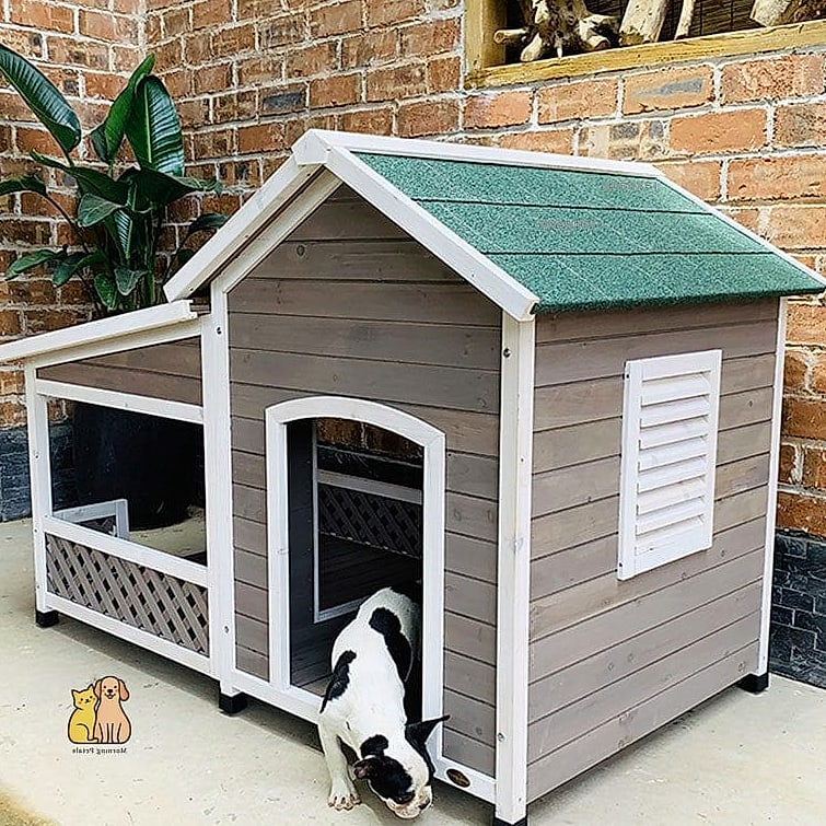 25 Amazing Dog Houses For Large Dogs That Are Too Cute to Handle 13 The Beach Bungalow Style