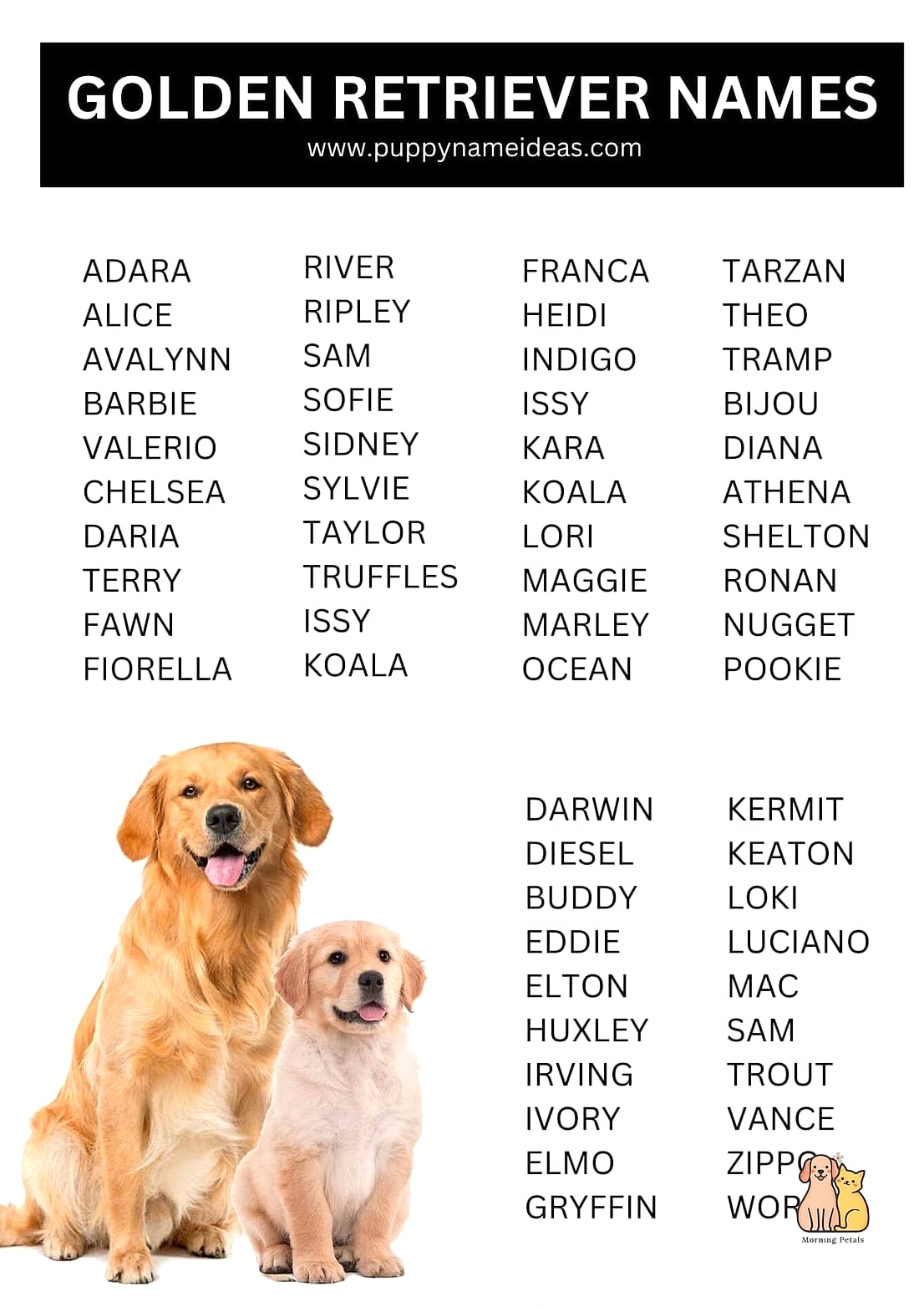 The Golden Retriever Names: Everything You Need to Know 21 Bear