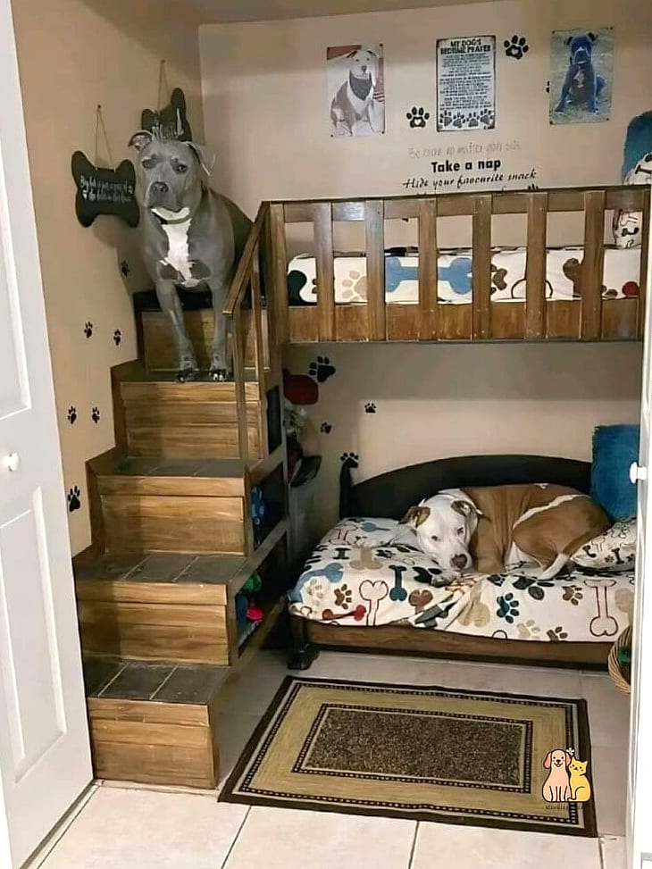 30 Incredible Dog Places In House You Need in Your Life Right Now 15 A Bedroom Foot-of-Bed Platform