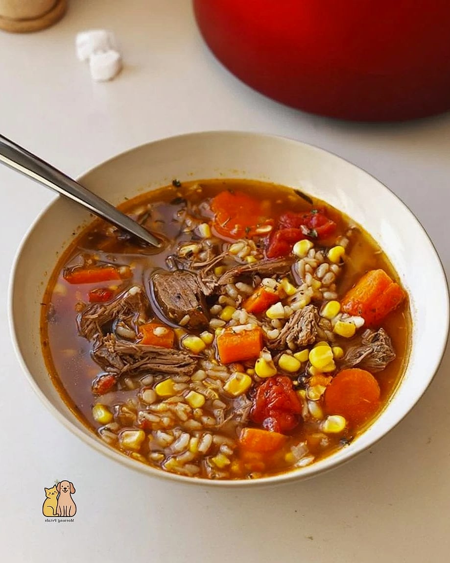 19 Budget-friendly Homemade Dog Meals That Are Totally Worth It 16 Beef and Barley Homemade Dinner