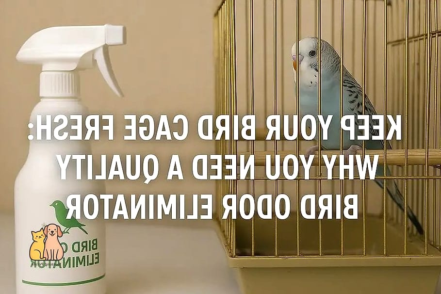 22 Heartwarming Pet Odor Air Purifiers You Need in Your Life Right Now 14 The Bird Cage Dust Handler