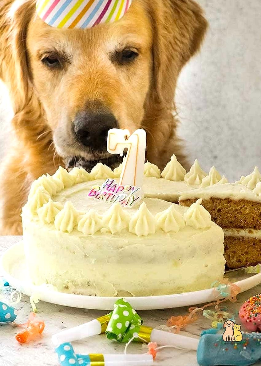 Birthday Cake with Treat Decorations