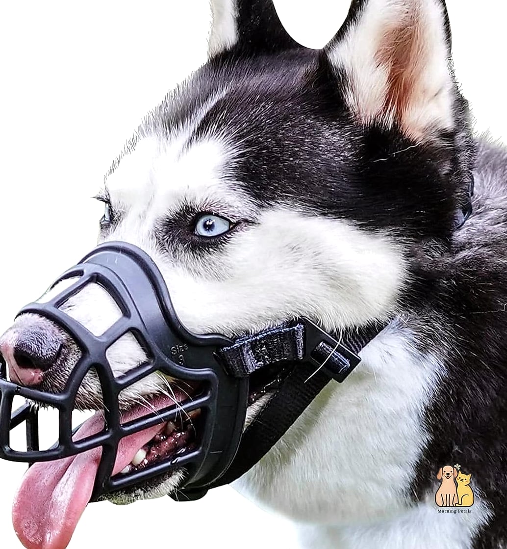 The Bite-Resistant Metal Muzzle
