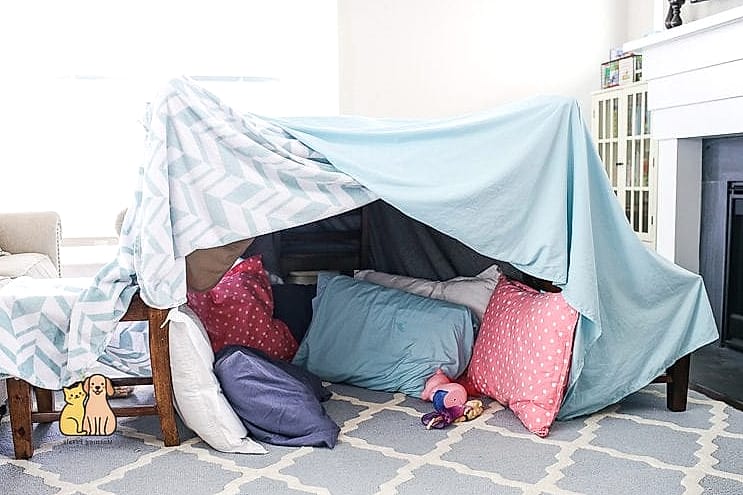 The Blanket Fort Puppy Nook