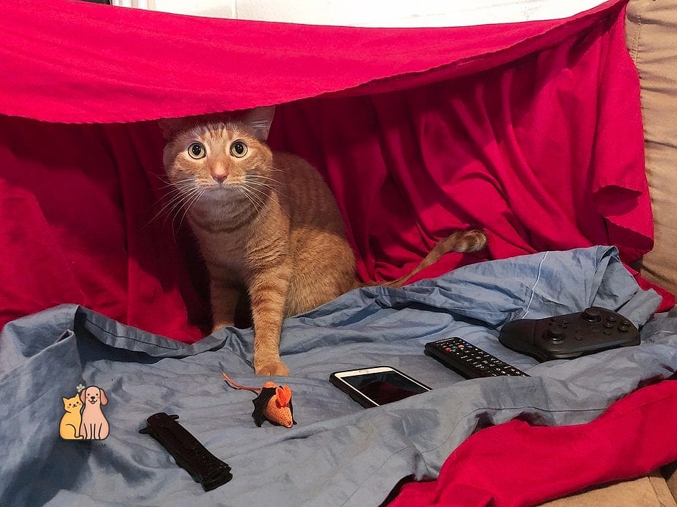 The Blanket Fort Hideaway