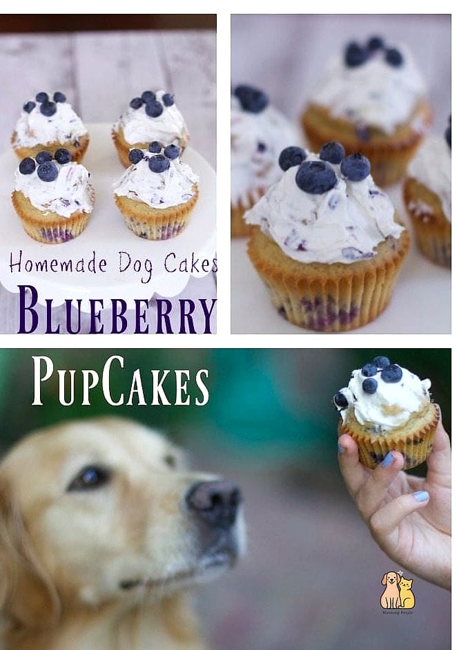 Blueberry Puppy Cupcakes