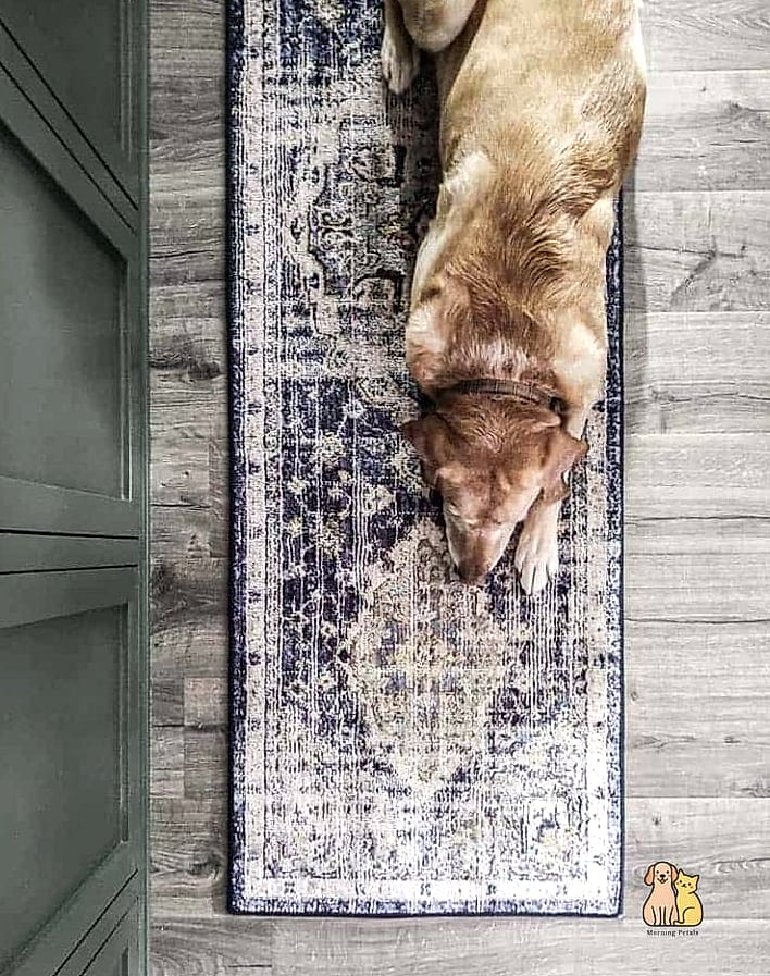 The Boho Rug and Basket Setup