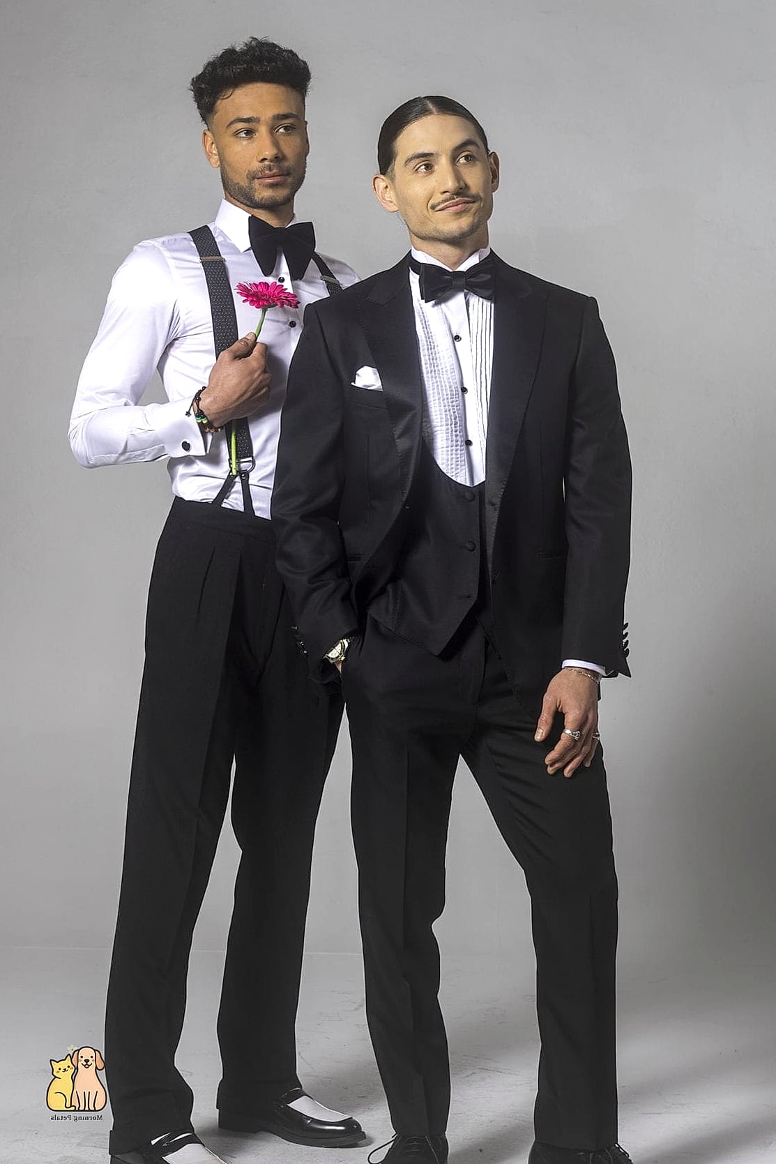 30 Incredible Fancy Tuxedo Cats That Will Make Your Day 20 The Bonded-Pair Tuxedo Siblings