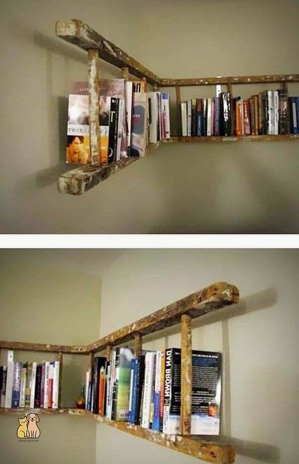 The Bookshelf Cat Ladder