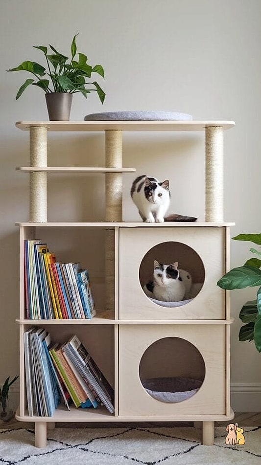 The Bookshelf Cat Tower Hybrid