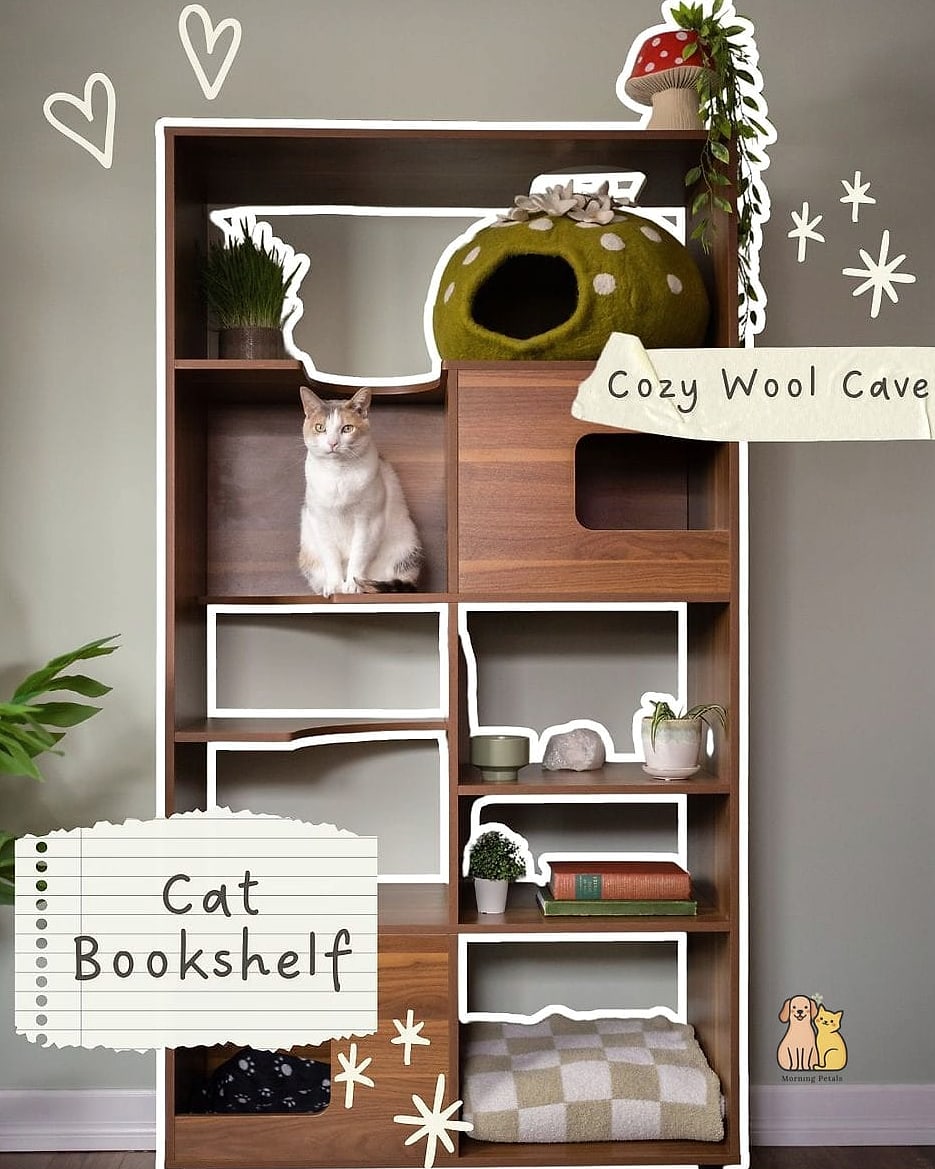 The Bookshelf Nook Cave