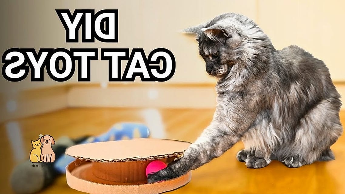45 Easy Diy Cat Toys to Try Right Now 36 Bottle Brush Toy