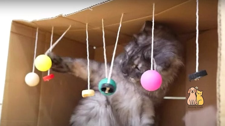 45 Easy Diy Cat Toys to Try Right Now 11 Bottle Cap Spinners