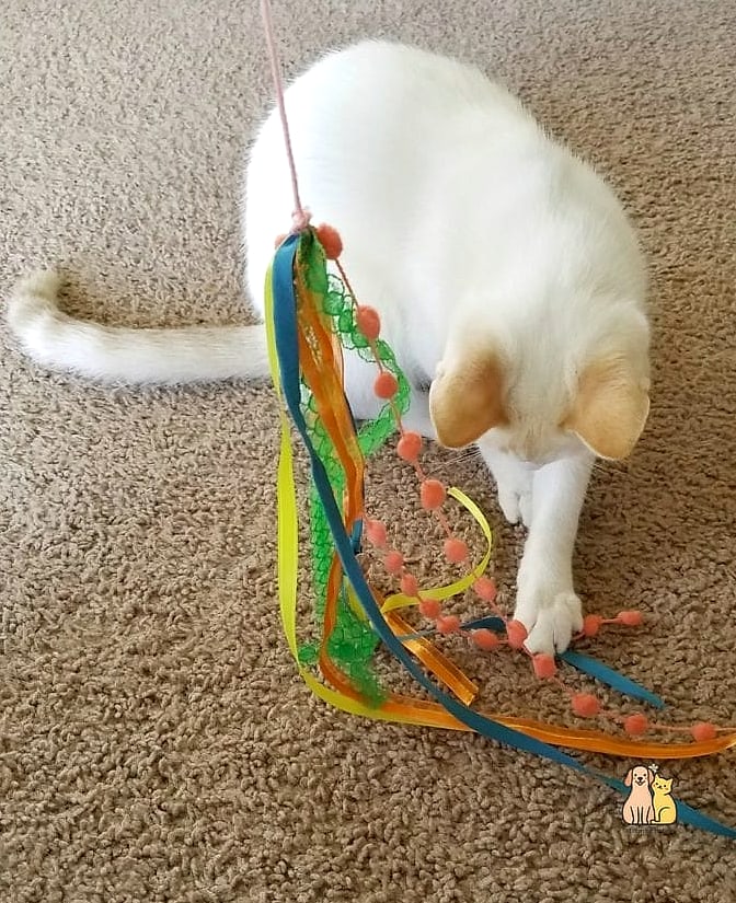 Braided Ribbon Kicker