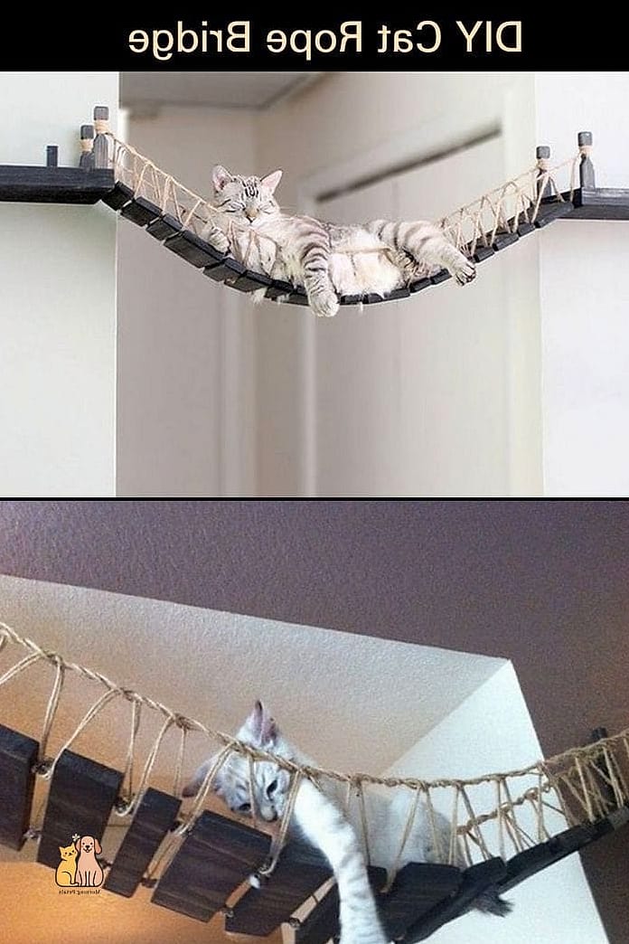 30 Creative Diy Cat Scratchers That Will Inspire You 26 Braided Rope Hanging Scratcher