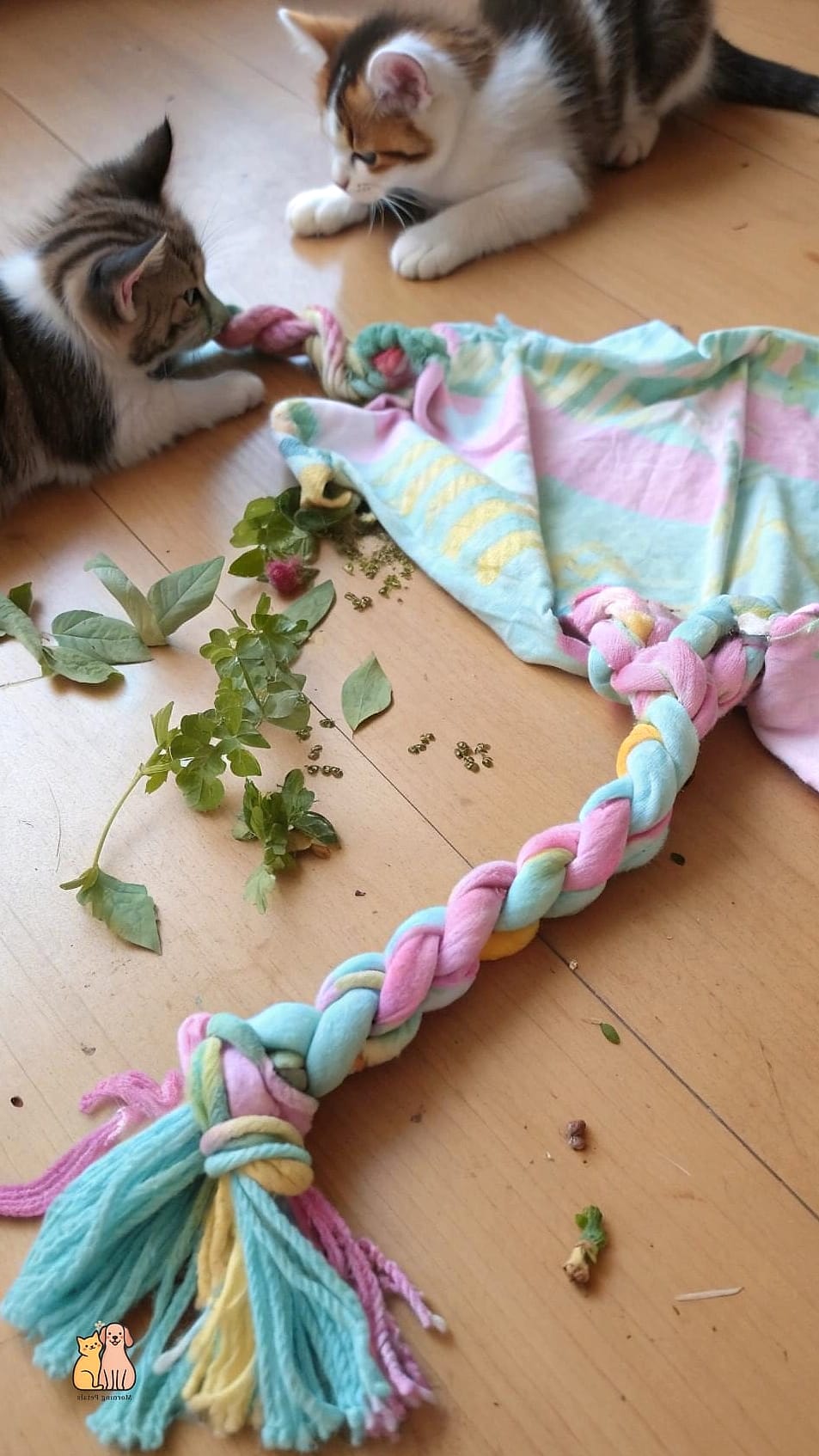 Braided T-Shirt Tug Toy