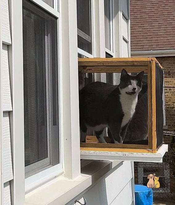 The Bubble Window Pod