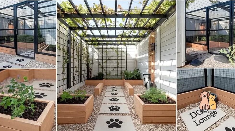 A Bug-Free Screened Porch Extension